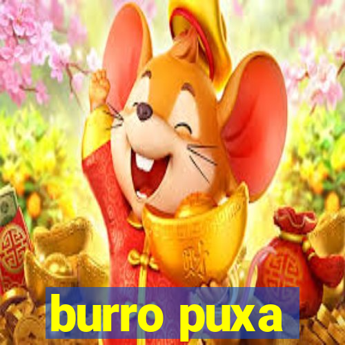 burro puxa